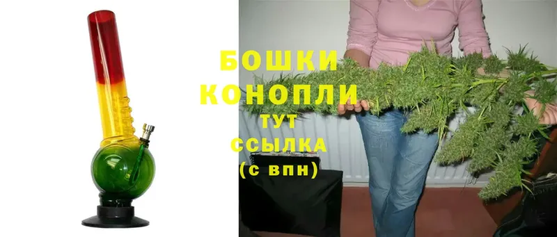 Конопля OG Kush  Среднеуральск 